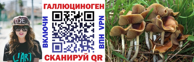 магазин продажи наркотиков Тбилисская Галлюциногенные грибы мухоморы